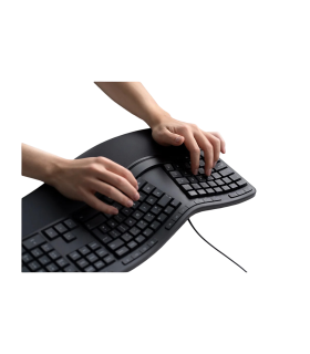 Combo Microsoft Ergonómico Desktop | Teclado y Mouse USB | RJU-00003