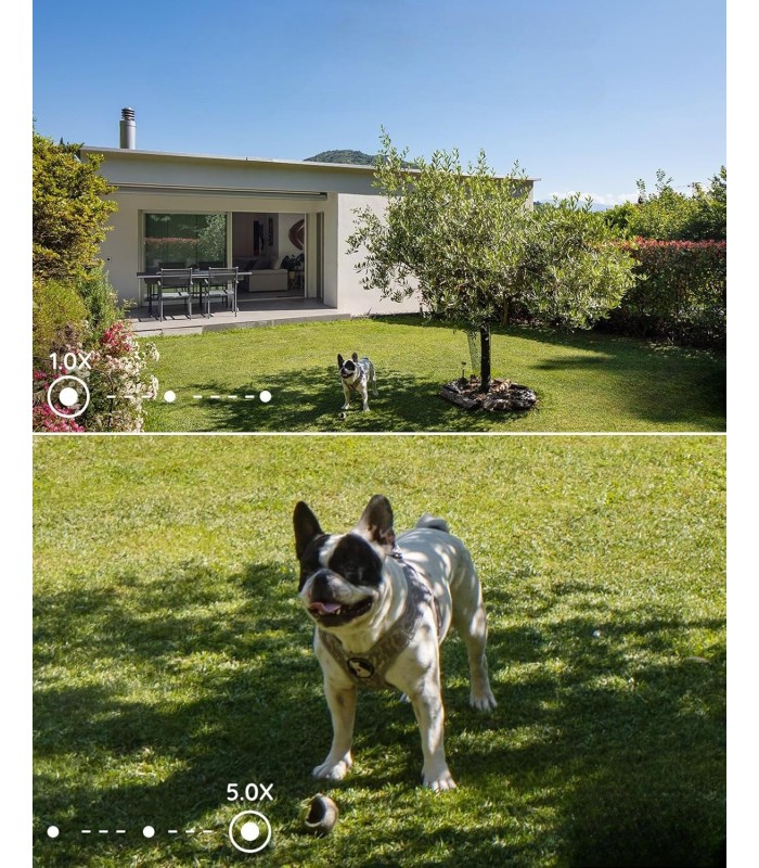 Comprar Cámara Seguridad REOLINK RLC-811A 4K PoE | Visión Nocturna