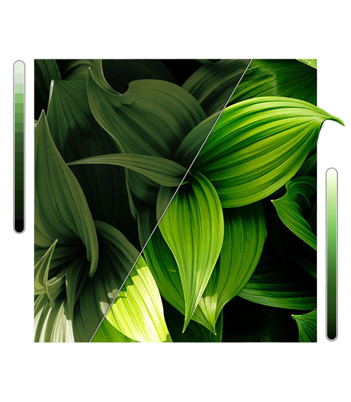 Comprar Samsung 32" HD LED Smart TV | 720p, Tizen