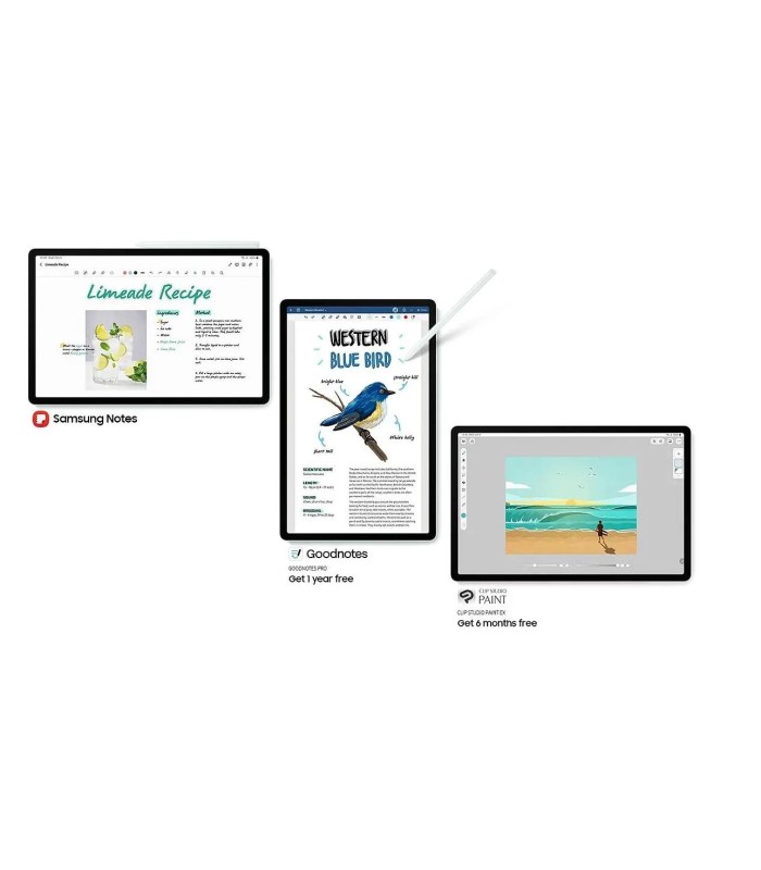 Tableta Samsung Galaxy Tab A9+ 11 WUXGA, 2.20 GHz, 8 GB RAM  128 GB  WiFi