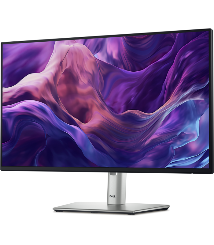 Monitor Dell P2425H 24 pulgadas Full HD IPS 100Hz